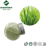 Organic Barley Grass Juice Vegetable Powder