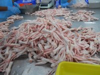 Wholesale frozen beef,chicken,pork,goat,lamb,turkey,mutton,sheep directly from factory