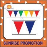Colorful Bunting Flag