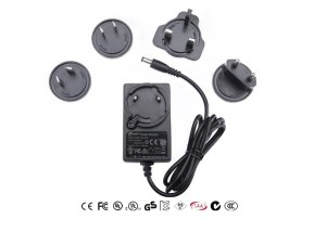 Interchangeable plug power adapter