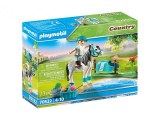Playmobil Country - Cavalière avec poney gris (70522)