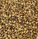 Coffee robusta to sell