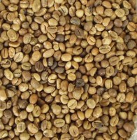 Coffee robusta to sell
