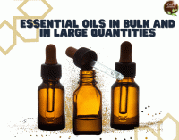 Essential oils in bulk