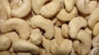 Cashew nut ww240 and ww320