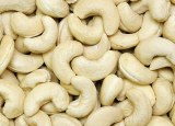 Cashew nuts from tanzania