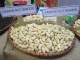 Cashew licensed provider