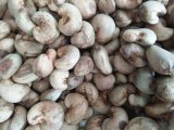 Quality Grade A Season Of Quality Raw Cashew Nuts For Sale