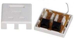 Cat6 dual double 2 port Jack unshielded white Surface Mount Box