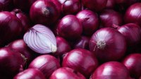 Production and sell EXPORTATION AND IMPORTATION of onions