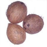 280000 coconut for sale