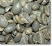 GREEN ARABICA and ROBUSTA COFFEE BEANS