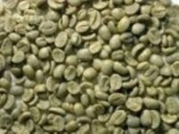 ARABICA and ROBUSTA COFFEE BEANS