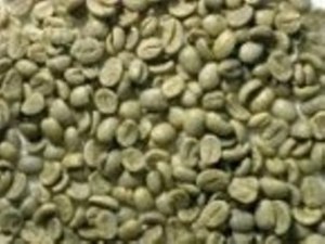 ARABICA and ROBUSTA COFFEE BEANS