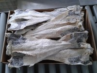 Drysalted Cod backbone-in Congo