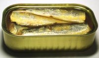 Many containers of sardine -pilchard
