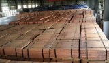 Copper Cathodes(Cu) 99.99% ,min;99.97% For Sale