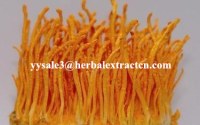 Cordyceps Sinensis Extract,Polysaccharides 15%, Enhance immunity, Reishi Mushroom Extra...