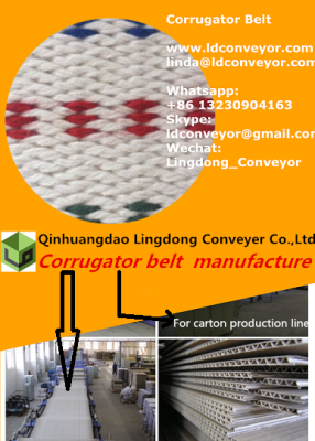 Corrugation machine canvas belt