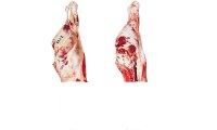 Sell ​​arrears beef Argentine Patagonia