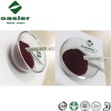 Cranberry Extract Powder Blushwood Berry Extract Powder