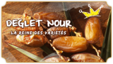 Natural Deglet Nour Dates Tunisia