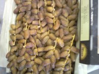 Algerian dates DEGLATE NOUR 1 st class