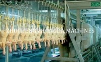 Full Chicken slaughter machines