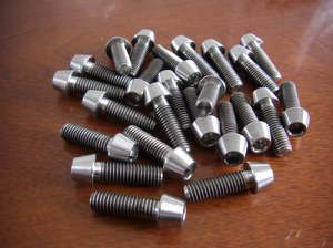 Titanium screws