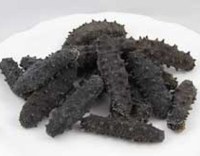 Top Quality Dried Sea Cucumber for Sale