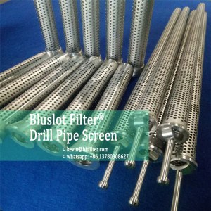 Drill pipe screen