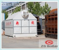Biomass Fired DZL Series Packaged Boiler