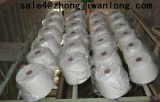 100% cotton yarn from China wanlong textile factory