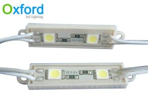 5050-2LED-Modul