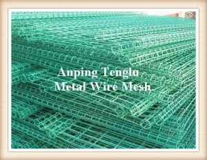 Double Ring Fence/Ornamental Double-Loop Wire Mesh Fence