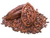Ventes de Fèves de cacao