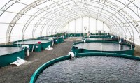 What Equipment Needed For Fish Farming