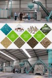 Complete Fish Feed Pellet Production Line Construction Site