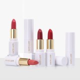 11 Colors Long Wearing Waterproof Matte Lipstick