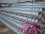 Sell galvanized ERW steel pipe