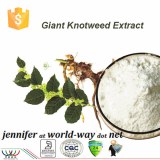 Pure natural strong antioxidant 98% Trans-resveratrol giant knotweed extract