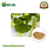 Factory Supply High Quality Ginkgo Biloba Leaf Extract