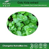 Gotu Kola extract (sales07@nutra-max.com)