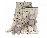 Teddy Plush Toy with Blanket