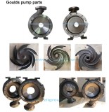 Centrifugal Goulds Chemical G and D Pump Parts for Investment Casting (8X10-15)