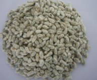 Cotton seed for the production of vegetable oil and livestock feed.
