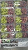 Sell Egyptian grapes