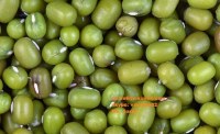 Vietnam green mung bean skype: visimex02