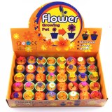 Growing flower toys
