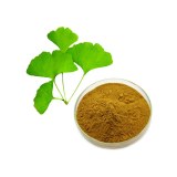 24% Flavonoids 6% Lactones Ginkgo Biloba Leaf Extract Powder